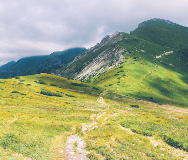 快速原型设计的网站攻击软件