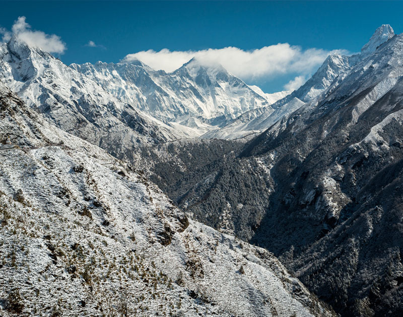 求渠道网站攻击软件