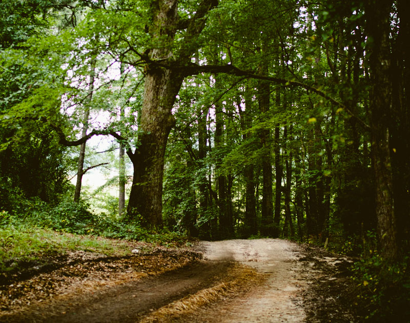 安全无后顾之忧的ddos攻击测试